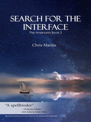 cover image of Search For the Interface